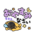 猫のキャベツ君スタンプ 夏（個別スタンプ：20）