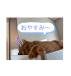 リアスタンプ2（個別スタンプ：2）