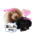 Love,friend♪（個別スタンプ：9）