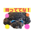 Love,friend♪（個別スタンプ：13）
