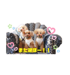 Love,friend♪（個別スタンプ：15）