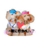 Love,friend♪（個別スタンプ：19）