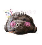 Love,friend♪（個別スタンプ：20）