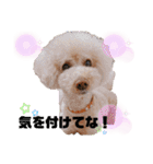 Love,friend♪（個別スタンプ：21）