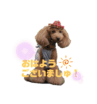 Love,friend♪（個別スタンプ：25）