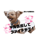 Love,friend♪（個別スタンプ：27）