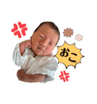 ひまるくんのスタンプ（個別スタンプ：8）
