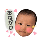 ひまるくんのスタンプ（個別スタンプ：12）