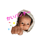 櫂 baby ver.1（個別スタンプ：30）