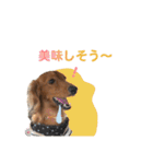 ココのスタンプ第2弾（個別スタンプ：5）