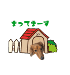 ココのスタンプ第2弾（個別スタンプ：15）