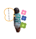 うちの子全集（個別スタンプ：9）