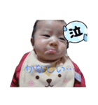 うちの子全集（個別スタンプ：14）