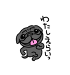 黒パグこりき（よく使う）（個別スタンプ：1）