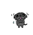 黒パグこりき（よく使う）（個別スタンプ：4）