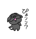 黒パグこりき（よく使う）（個別スタンプ：9）