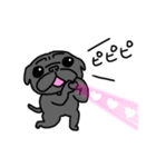 黒パグこりき（よく使う）（個別スタンプ：13）
