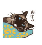 ねこ王騎 スタンプ（個別スタンプ：2）