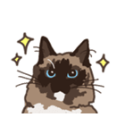 ねこ王騎 スタンプ（個別スタンプ：3）