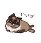 ねこ王騎 スタンプ（個別スタンプ：4）