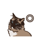 ねこ王騎 スタンプ（個別スタンプ：11）