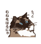 ねこ王騎 スタンプ（個別スタンプ：17）