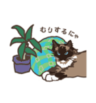 ねこ王騎 スタンプ（個別スタンプ：20）