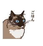 ねこ王騎 スタンプ（個別スタンプ：24）