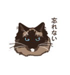 ねこ王騎 スタンプ（個別スタンプ：26）