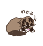 ねこ王騎 スタンプ（個別スタンプ：31）