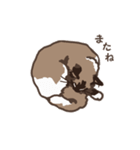 ねこ王騎 スタンプ（個別スタンプ：32）