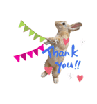 うさぎのコナンくんスタンプ（個別スタンプ：2）