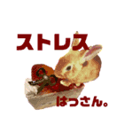 カラフルうさぎのコナンくんスタンプ。（個別スタンプ：16）