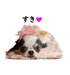 梅ちゃん＊鞠ちゃん2（個別スタンプ：7）