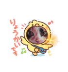 三毛猫こもも（個別スタンプ：9）