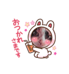 三毛猫こもも（個別スタンプ：14）