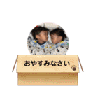 はっくんりっくんスタンプ（個別スタンプ：5）