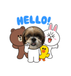 シーズー犬ぽぽ8（個別スタンプ：2）