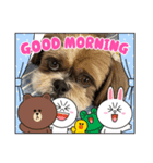 シーズー犬ぽぽ8（個別スタンプ：7）