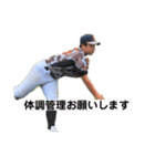 キャロット完結編（個別スタンプ：8）