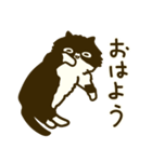くろべえの日常スタンプ（個別スタンプ：12）