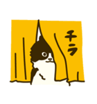 くろべえの日常スタンプ（個別スタンプ：15）