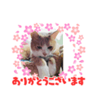 ソラマメ姉弟（個別スタンプ：3）