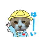 ソラマメ姉弟（個別スタンプ：4）