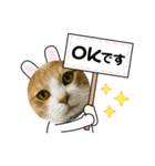 ソラマメ姉弟（個別スタンプ：5）