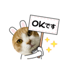 ソラマメ姉弟（個別スタンプ：7）