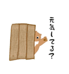 かわぁいいくまさん（個別スタンプ：8）