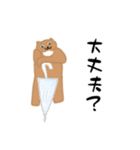 かわぁいいくまさん（個別スタンプ：18）