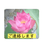 役員さんお疲れ様です（個別スタンプ：2）