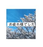 役員さんお疲れ様です（個別スタンプ：7）